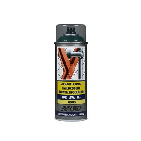 [SPRAYV] BOMBE DE COULEUR POUR CLÔTURE (Vert RAL6005)