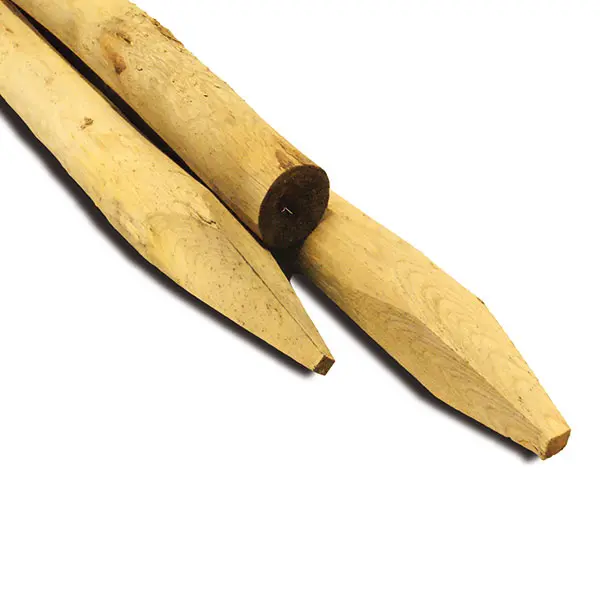 [410163] POTEAU CHATAIGNIER 8-10CM (160 cm)